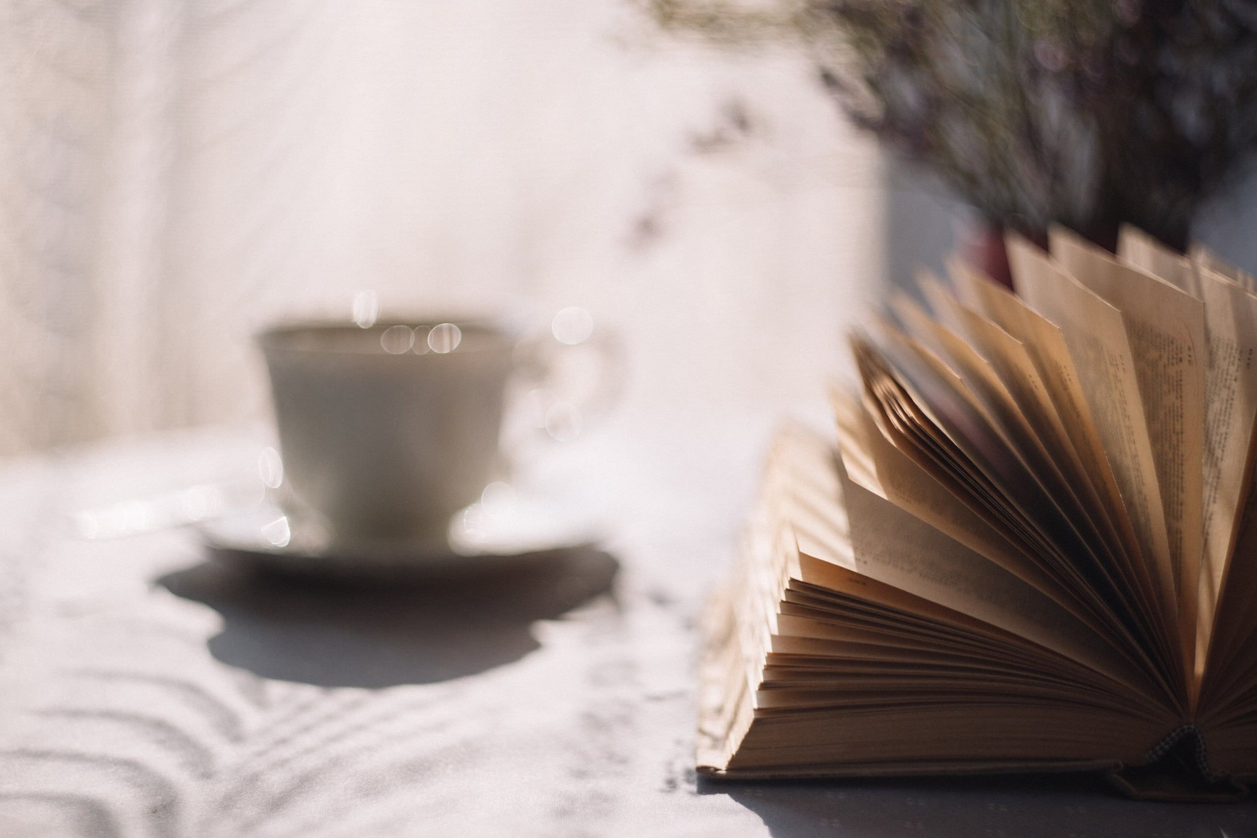 An open book and a cup of tea on a sunlit table.