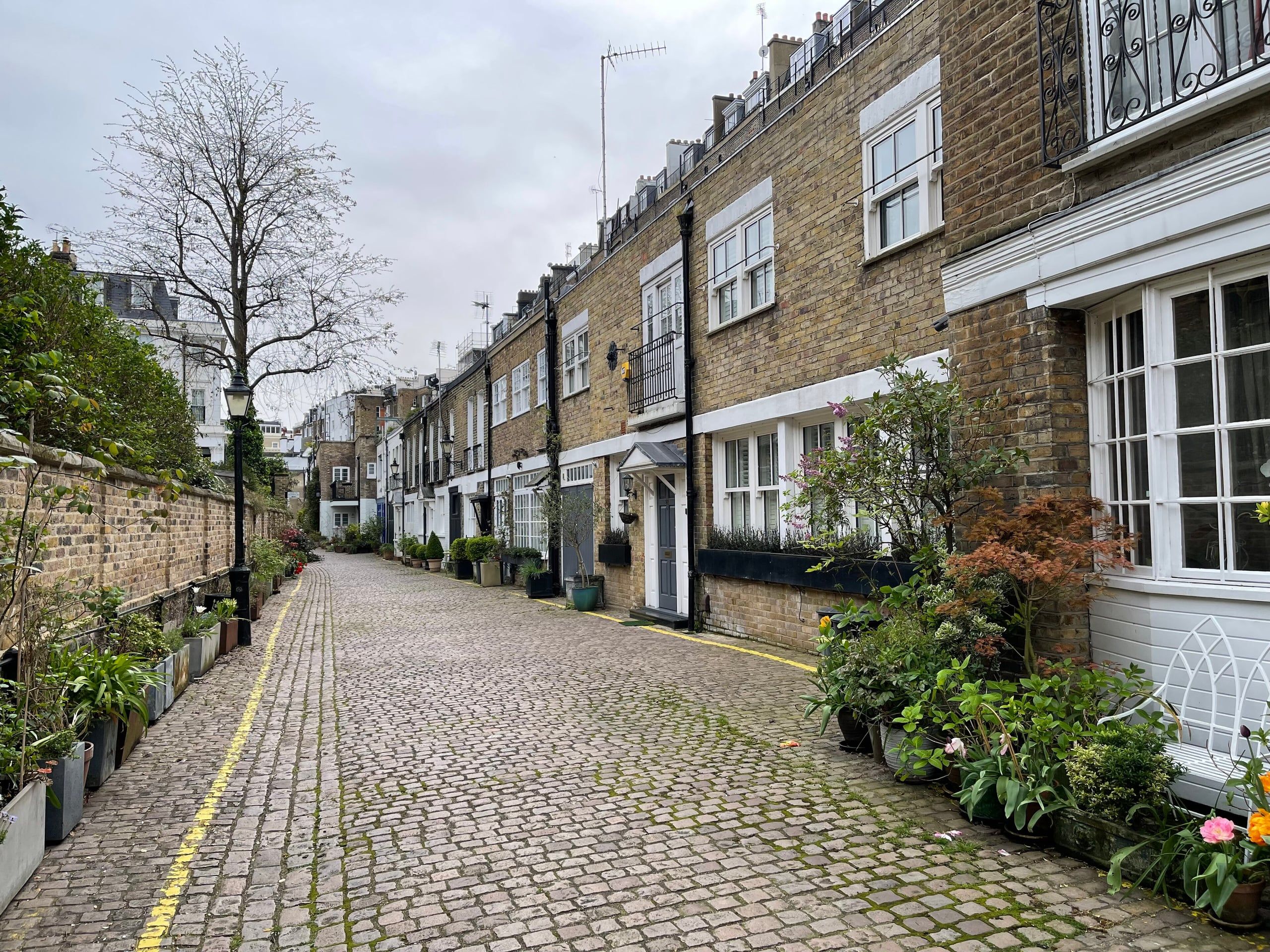 A quiet cobbled mews in Kensington, London, lined with potted plants and painted brick houses.